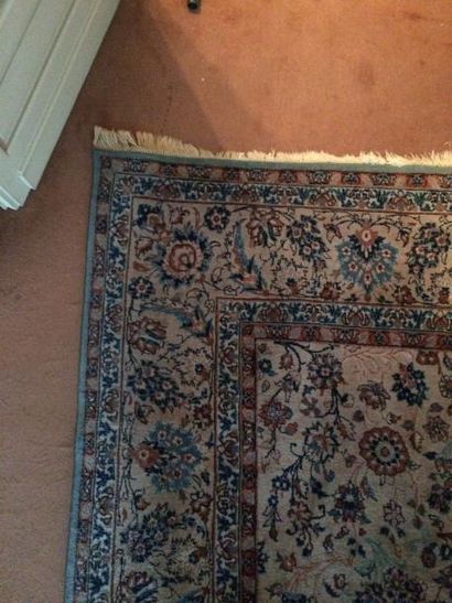 INDO-PERSAN


Tapis en laine à décor de fleurs...