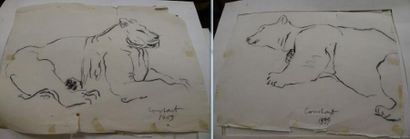 Lionne - Ours.

Deux dessins au fusain sur...