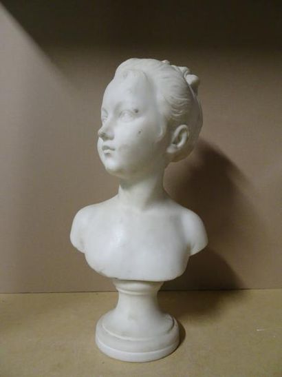 D'APRÈS JEAN-ANTOINE HOUDON (1741-1828)


Buste...