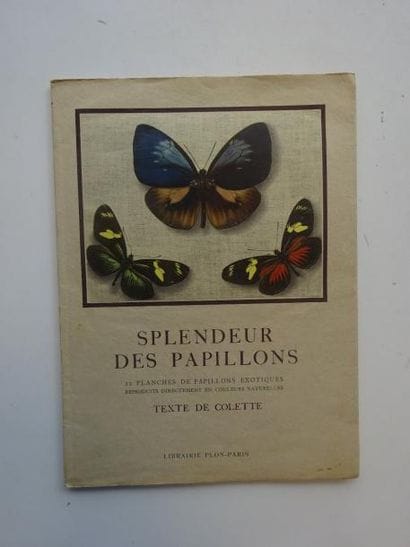 Splendeur des papillons. 

Textes de Colette....
