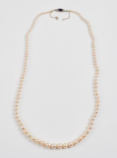 Collier de perles de culture blanches en...