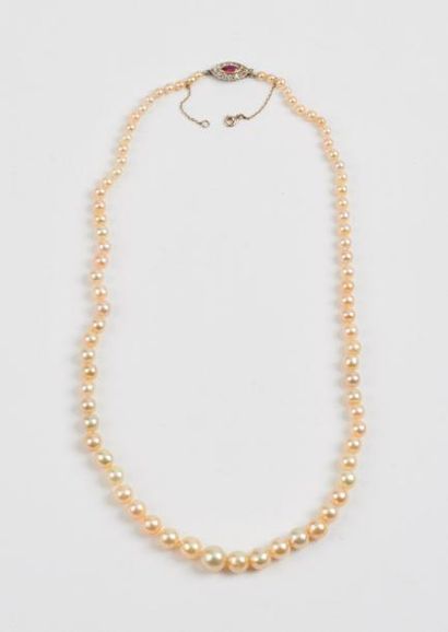 Collier de perles blanches en chute. 

Fermoir...