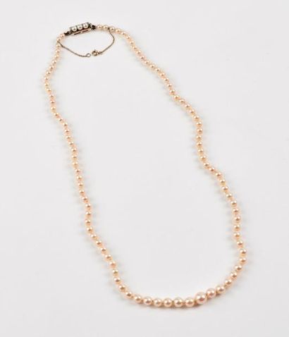 Collier de perles blanches de culture en...