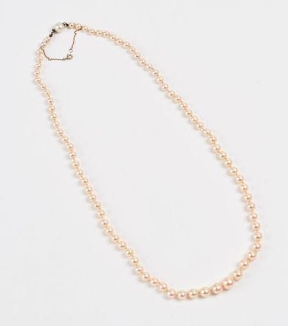 Collier de perles de culture blanches en...