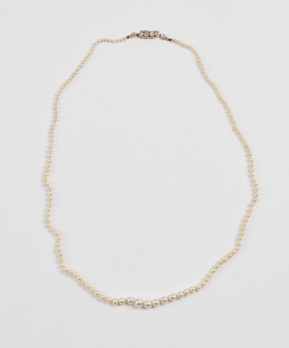 Collier de perles probablement fines en chute....