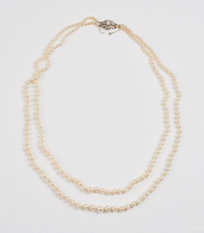 Collier à deux rangs de perles de culture...