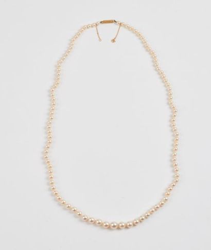 Collier de perles de culture blanche en chute....