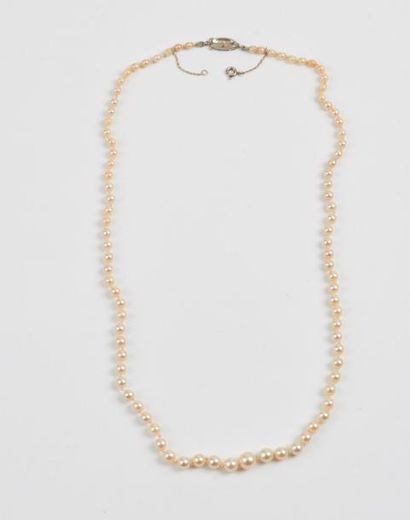 Collier de perles de culture blanches en...
