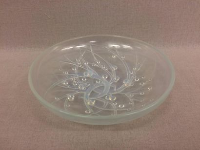 RENE LALIQUE (1860-1945)


Coupe 