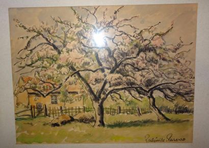 Paul Émile PISSARRO (1884-1972)


Pommier...