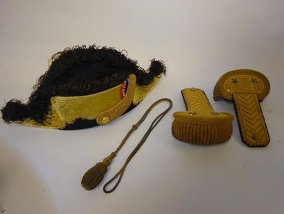 Eléments d'uniforme de Général de Brigade...