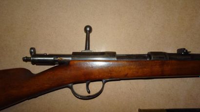 ALLEMAGNE.

Fusil des douanes. Calibre du...