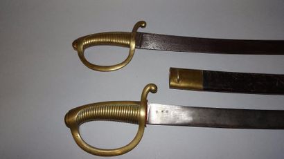 FRANCE.

Deux sabres briquets. Modèles AN...