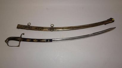 FRANCE

Sabre de cavalerie en laiton argenté.

Garde...