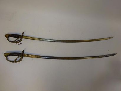 FRANCE

Deux sabres de cavalerie légère,...