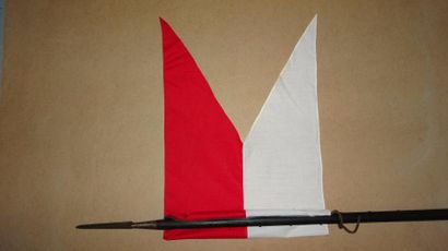 FRANCE

Lance réglementaire.

Modèle 1823-1855.

Sans...
