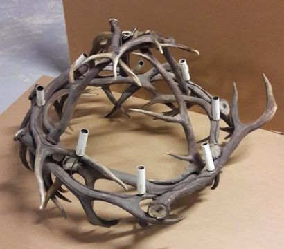 Suspension en forme de dôme en mues de cerfs,...