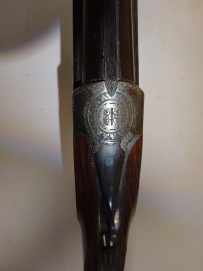 MARTIN-DUBOST


Fusil de chasse à canons...
