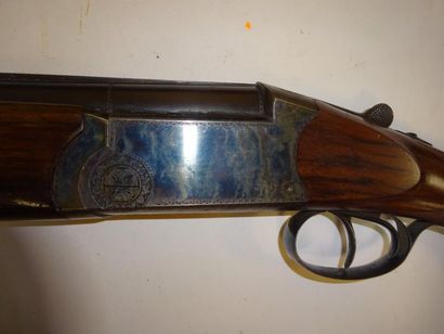 MARTIN-DUBOST


Fusil de chasse à canons...
