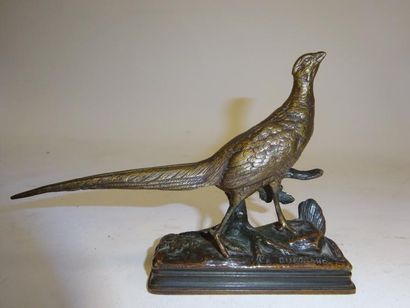 D’après Alfred DUBUCAND (1828-1913)


Faisan.

Épreuve...