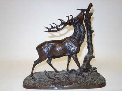 D'après Pierre-Jules MÊNE (1810-1879)


Cerf...
