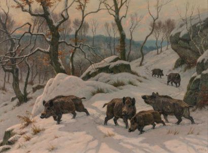 Georges Frédéric ROTIG (1873-1961)

Sangliers...