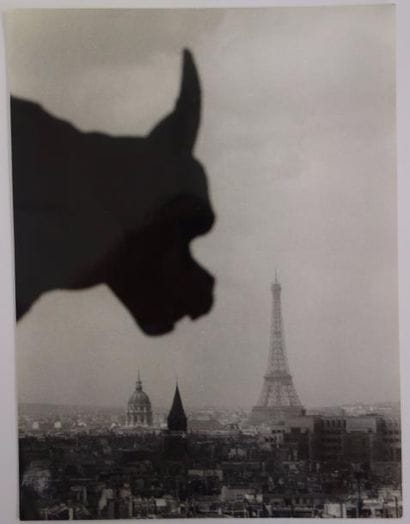 Willy Ronis (1910-2009)


Paris, circa 1950.

24...