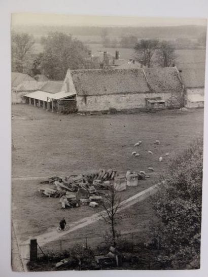 Willy Ronis (1910-2009)


Les moutons continuent...