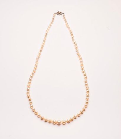 Collier de perles de culture blanches en...