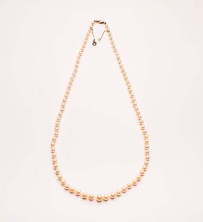 Collier de perles de culture blanches en...