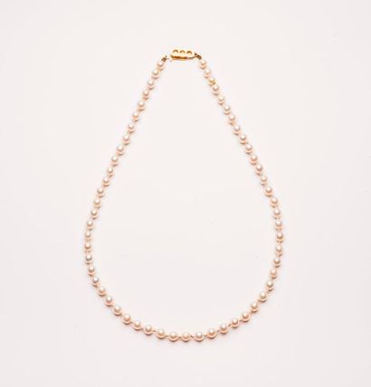 Collier de perles de culture blanches. 

Fermoir...