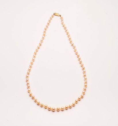 Collier de perles de culture blanches. 

Fermoir...