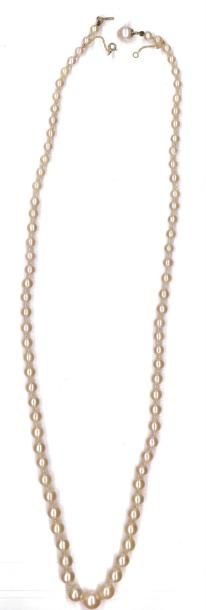 Collier de perles de culture blanches en...