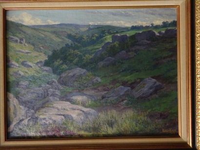 Victor KOOS (1864-1925)


Collines aux rochers....