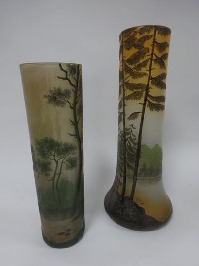 LEGRAS


Vase en verre de forme tubulaire...