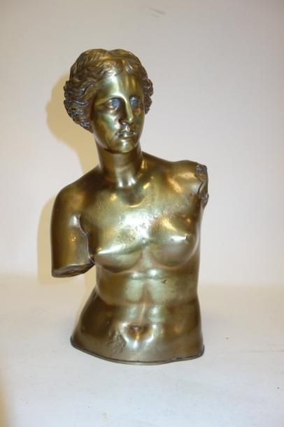 Buste de la Venus de Milo.

Epreuve en bronze...