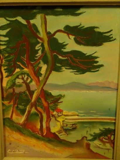 COLETTE


Bord de mer aux pins maritimes.

Pastel...