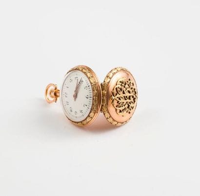 SAVOYE F. & Cie - NEYRET FRERES Srs


Montre...
