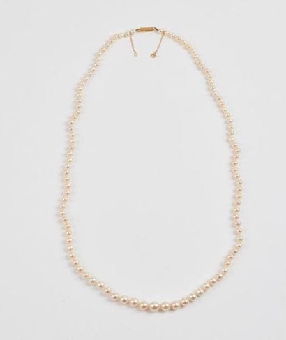 Collier de perles de culture blanche en chute....