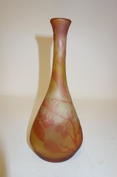 ÉTABLISSEMENTS GALLÉ


Vase soliflore à panse...
