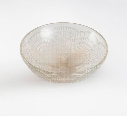 R.LALIQUE FRANCE


Coupe vaque creuse 