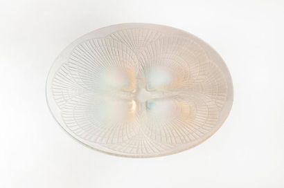 R.LALIQUE FRANCE


Plat circulaire 