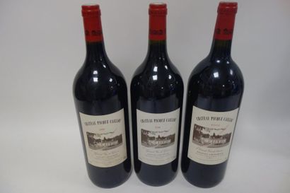 CHATEAU PIQUE CAILLOU
Trois magnums :
- deux...