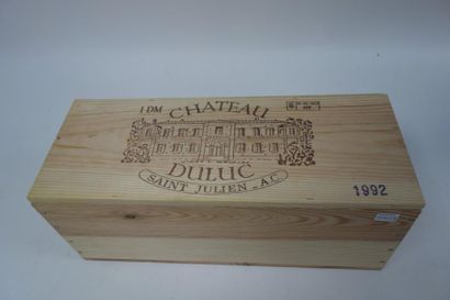 CHATEAU DULUC SAINT JULIEN 

Double magnum....