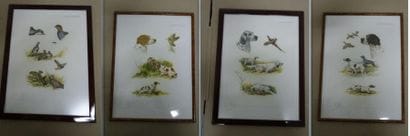 Boris Riabouchinski dit RIAB 


Quatre gravures...