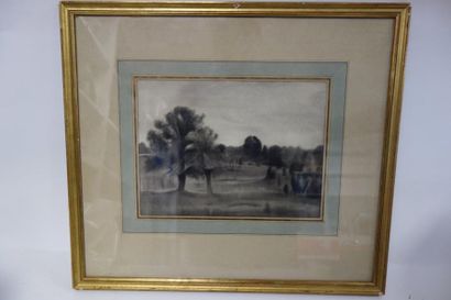 Edouard DEGAINE (1887-1967). 


Arbre dans...