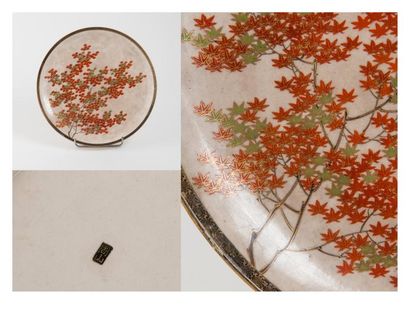 JAPON, Satsuma - Epoque MEIJI (1868 - 1912)


Plat...