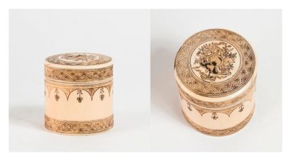 Boîte cylindrique en ivoire d'éléphant (elephantidae...