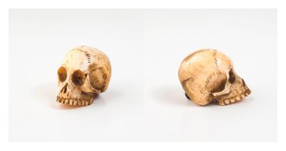Petit memento-mori figurant un crâne humain...