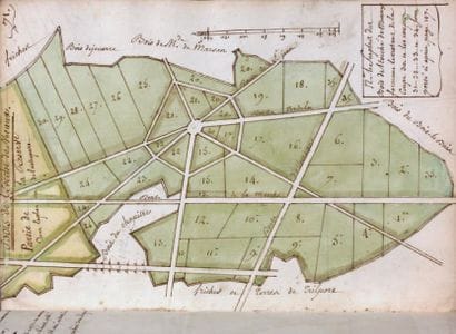 ÉTAT et PLANS des Bois du Roy et de ceux...